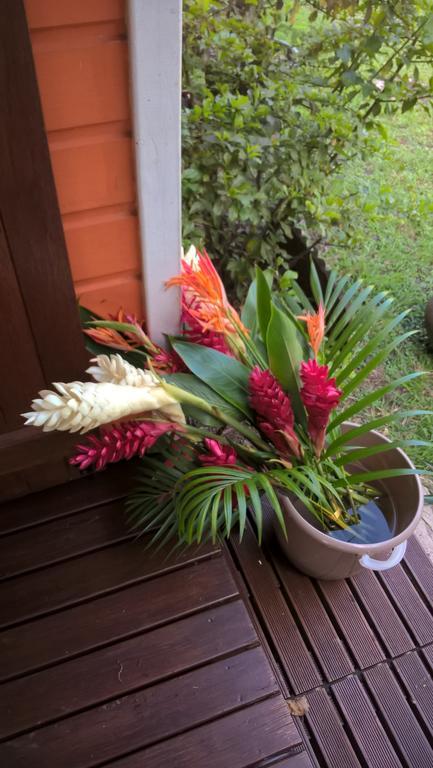 Cap Martinique Villa Sainte-Anne Buitenkant foto